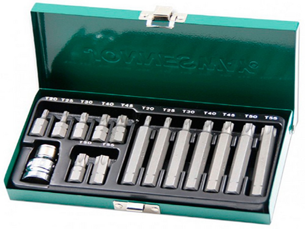 Набор бит TORX (звездочки) Т20-Т55, 15 предм. JONNESWAY (S29H4215S)