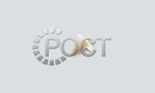 Пистон крепления обивки УАЗ Патриот, Хантер