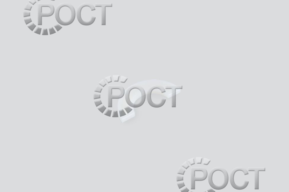 Полукольцо (фланец упорный) вала распределительного дв. ЗМЗ-405, 406, 514