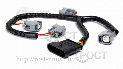 Жгут проводов форсунок Г-3302 Бизнес, УАЗ дв. УМЗ-4216-10 Molex Евро-4 CARGEN