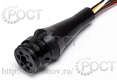 Колодка гнездовая к задним фонарям для Г-3302, МАЗ, с проводами L250mm в гофре