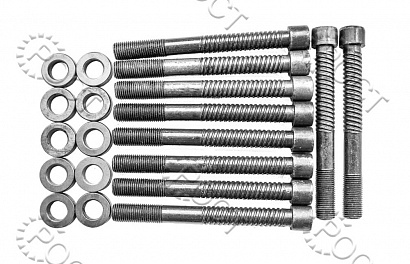 Комплект болтов ГБЦ дв. ЗМЗ-405, 406, 409 (уп.6 шт)