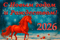 С Новым годом 2026!