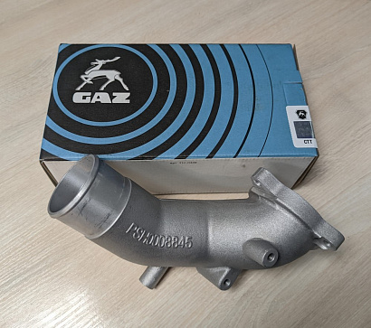 Патрубок впускной дв.G21A 